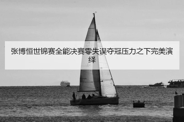 张博恒世锦赛全能决赛零失误夺冠压力之下完美演绎